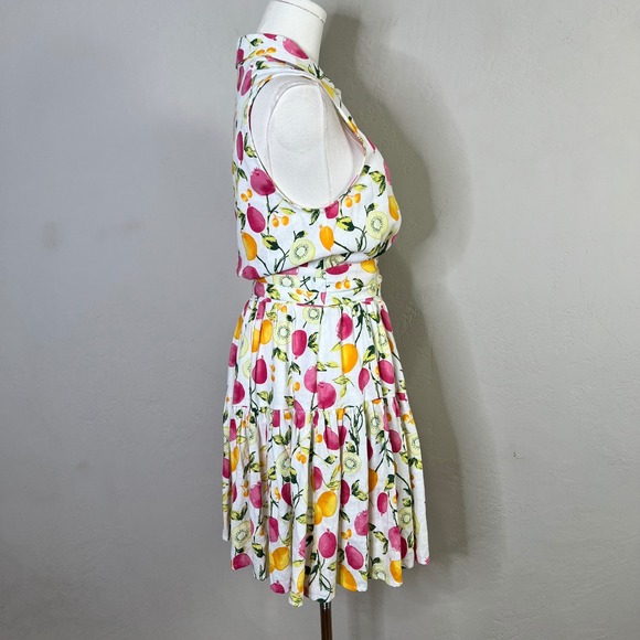 Cynthia Rowley Fruit Print Linen Blend Sleeveless Shirt Dress Belted Size 6 - Picture 8 of 13